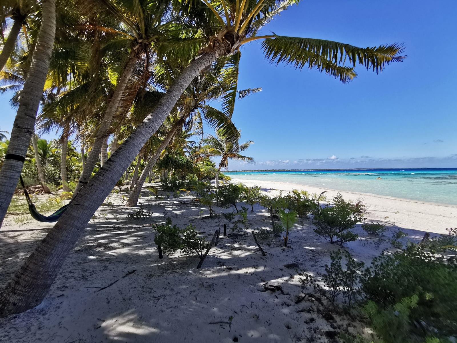 Aotera Guest House en Tikehau