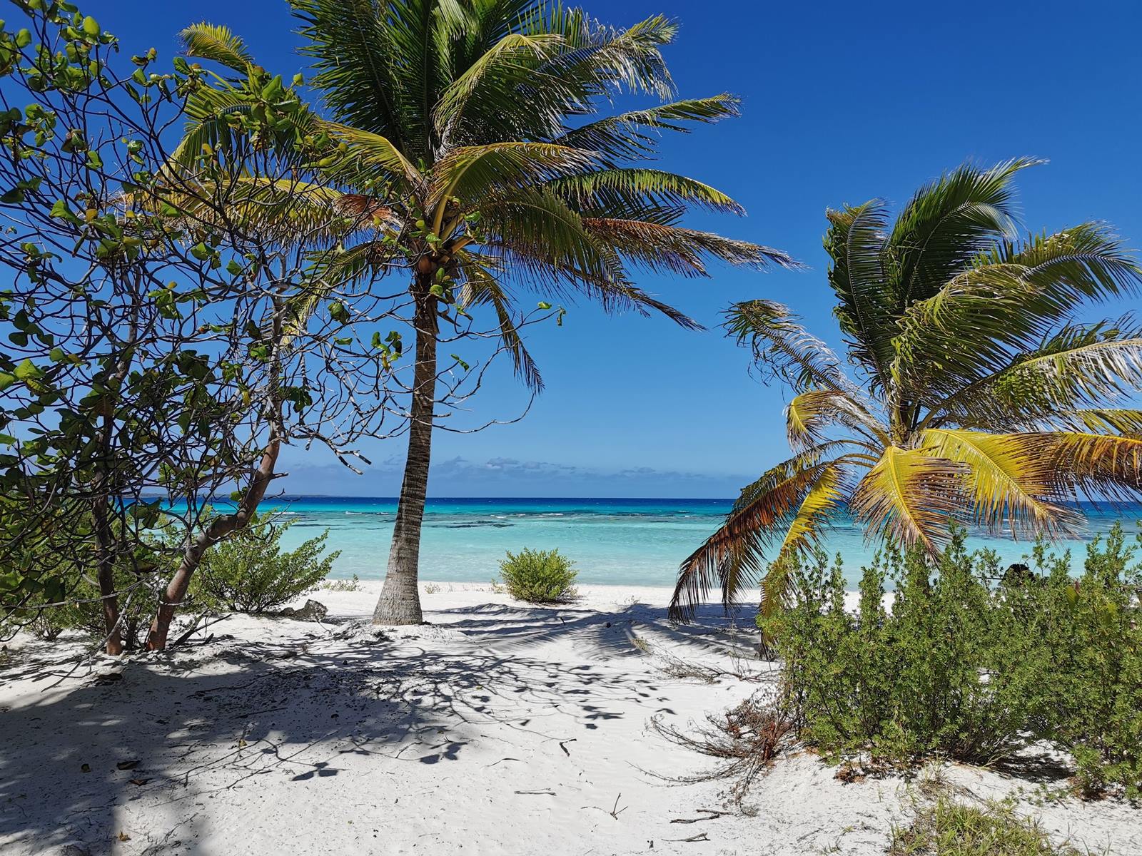 Aotera Guest House en Tikehau