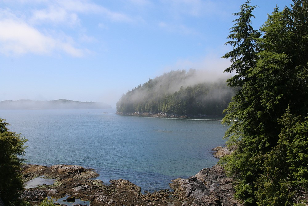 Duffin Cove Oceanfront Lodging en Tofino