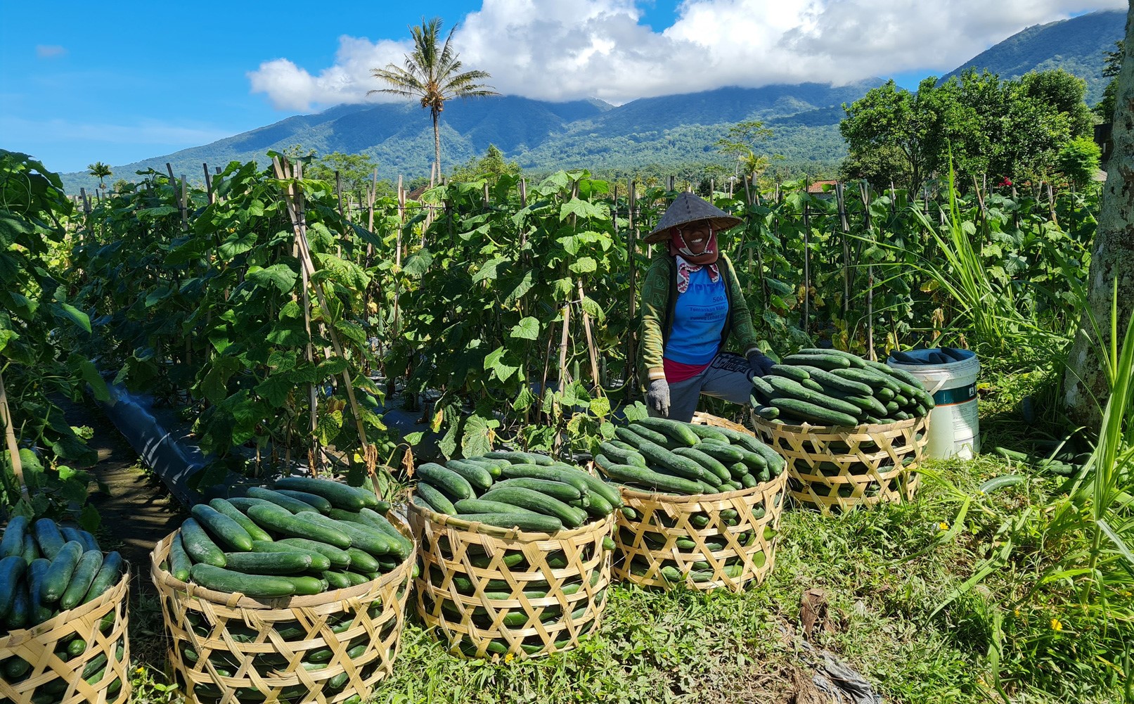 Nadi Nature Resort en Ubud
