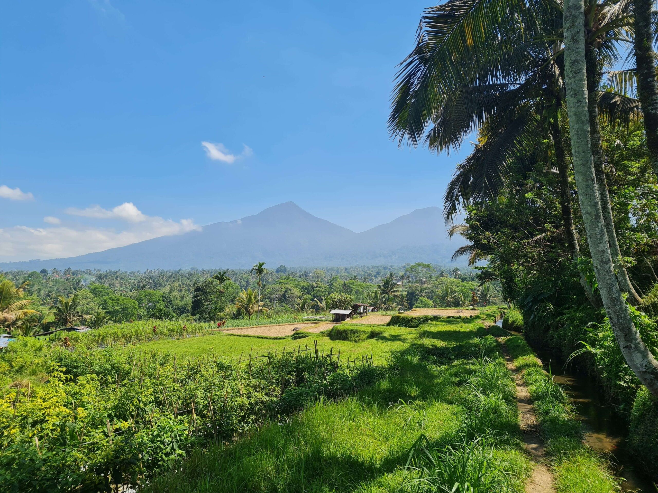 Nadi Nature Resort en Ubud