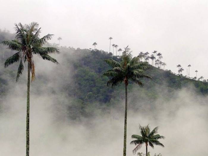 Imagen de viaje LAT.40