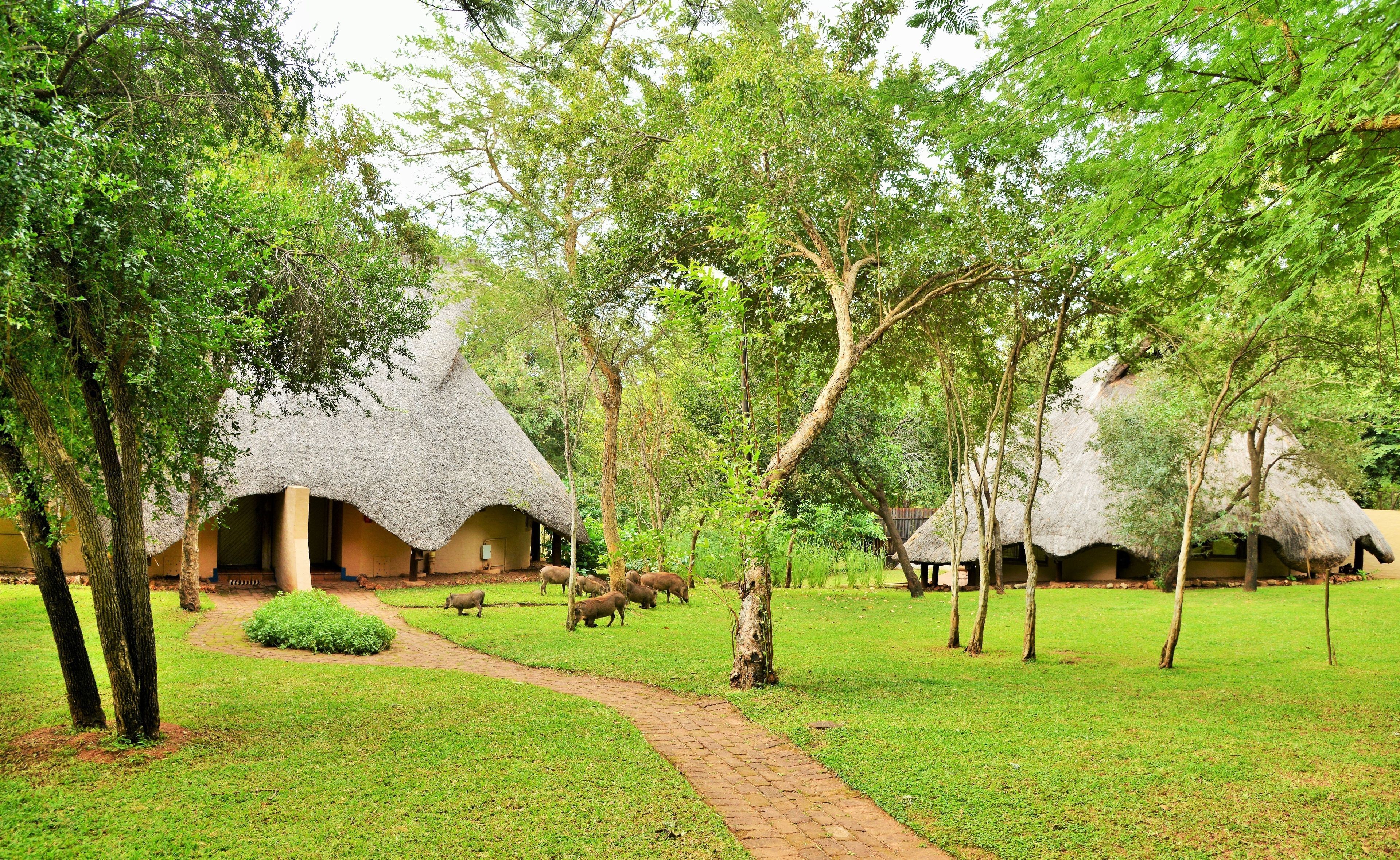 Lokuthula Lodges en Victoria Falls