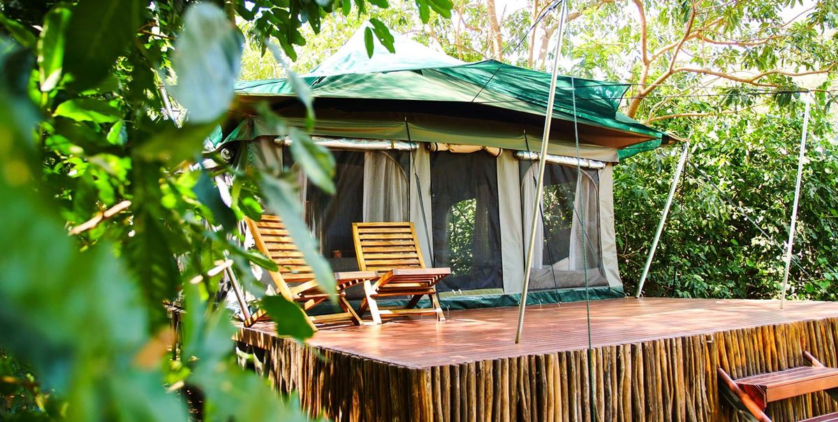 Manyara Green Camp en Parque nacional del Lago Manyara