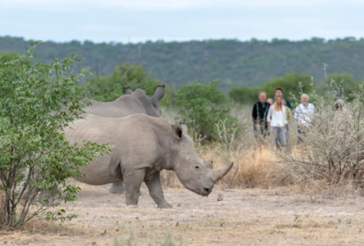 Little Ongava  en Etosha Parque Nacional 