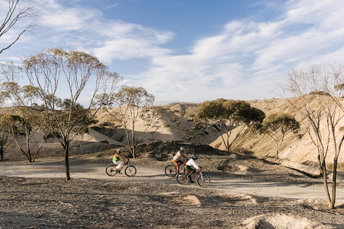 Caravan by Habitas  en Alula