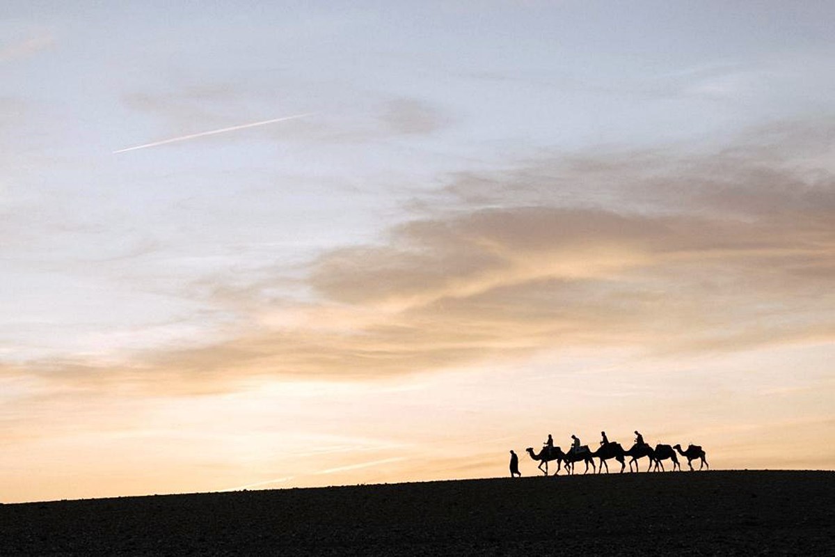 Caravan by Habitas  en Alula