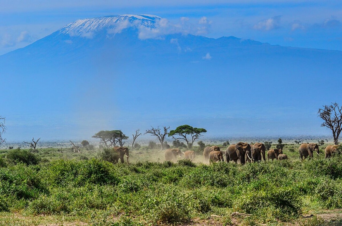 Campi Ya Kanzi en Amboseli