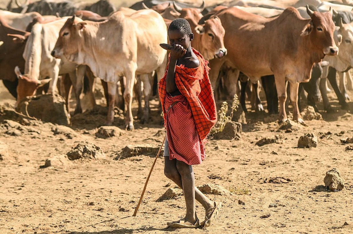 Campi Ya Kanzi en Amboseli