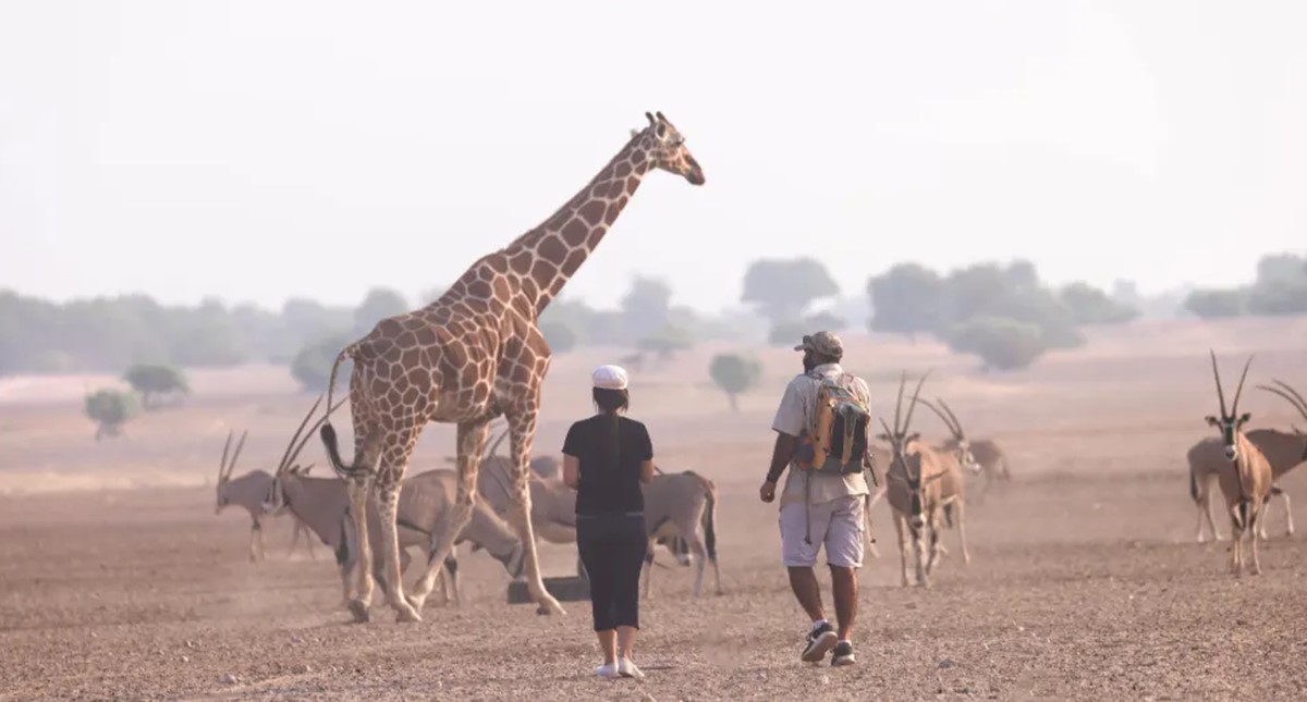 Sir Bani Yas Island