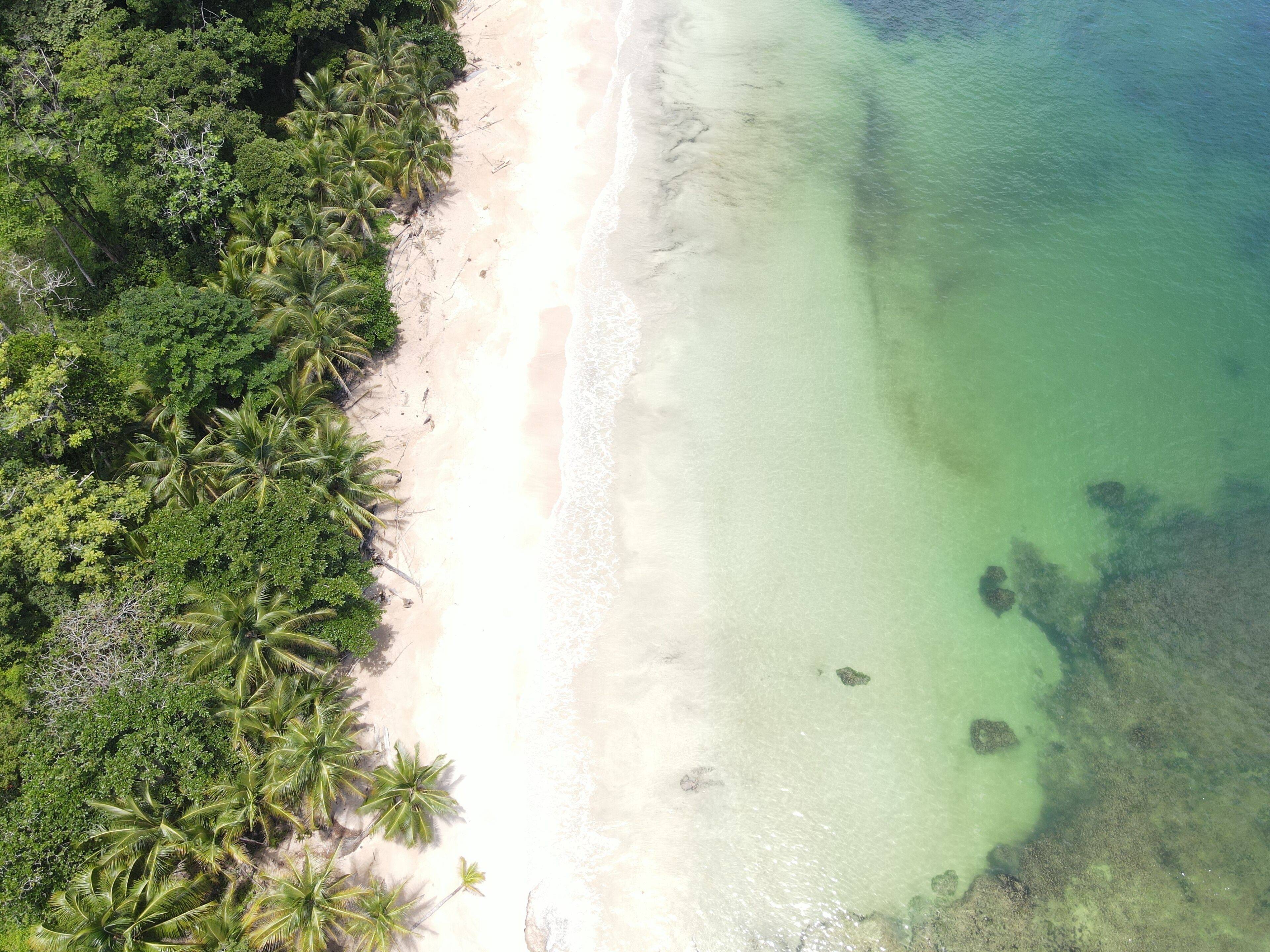 La Coralina Island House  en Bocas del Toro