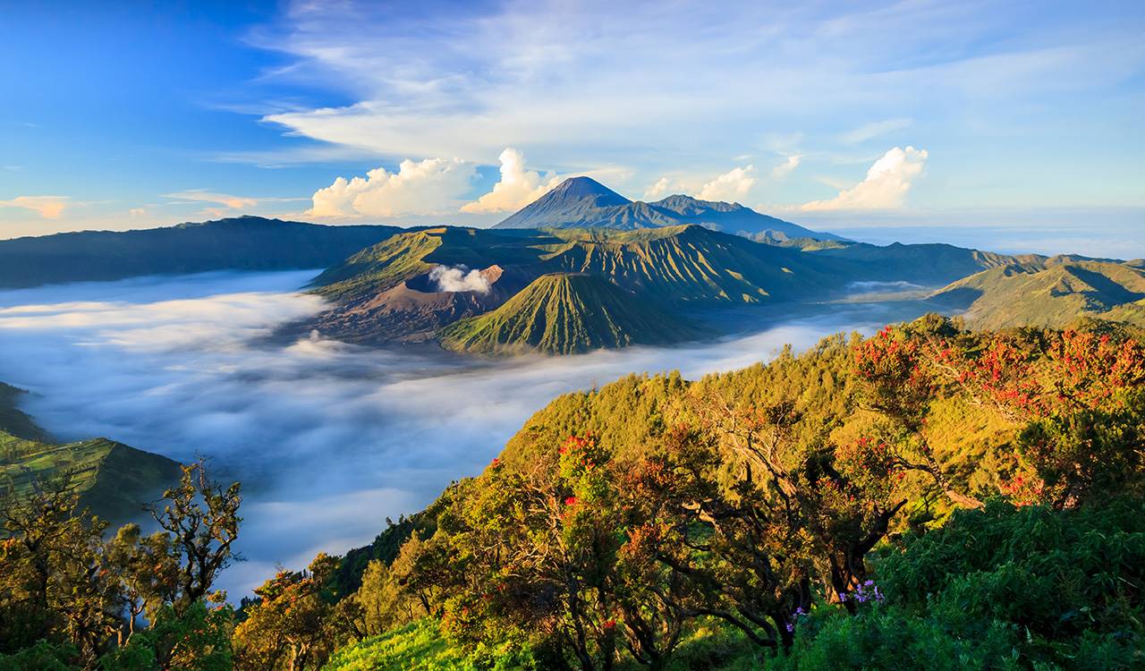 Bromo