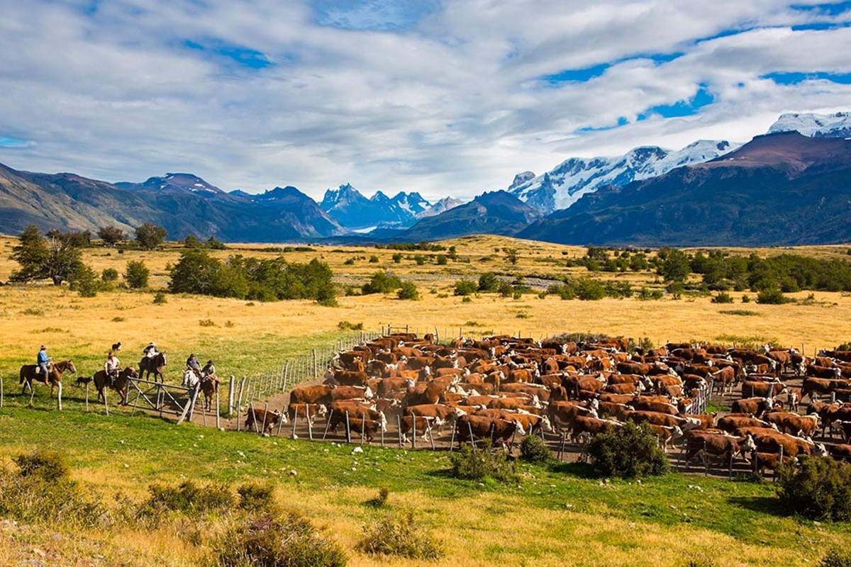 Estancia Nibepo Aike en Calafate