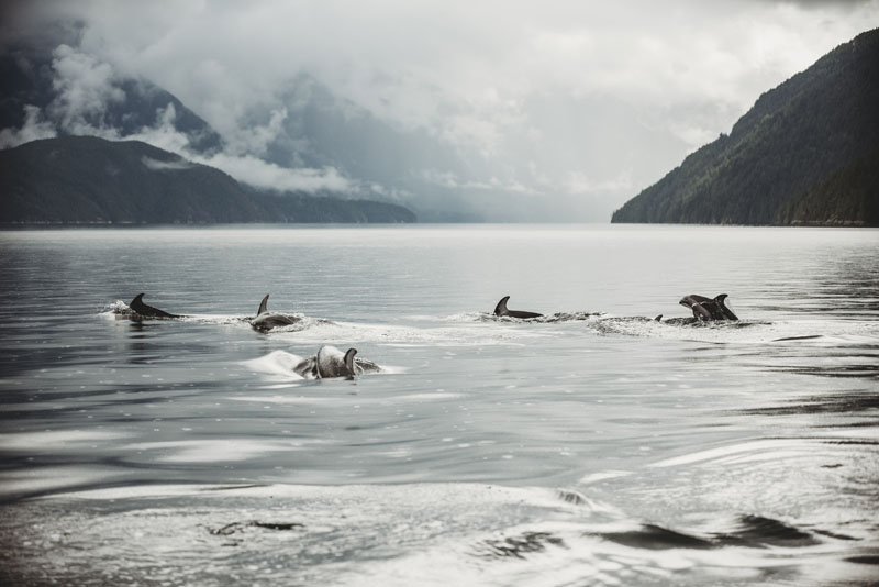 Klahoose Wilderness Resort en Desolation Sound