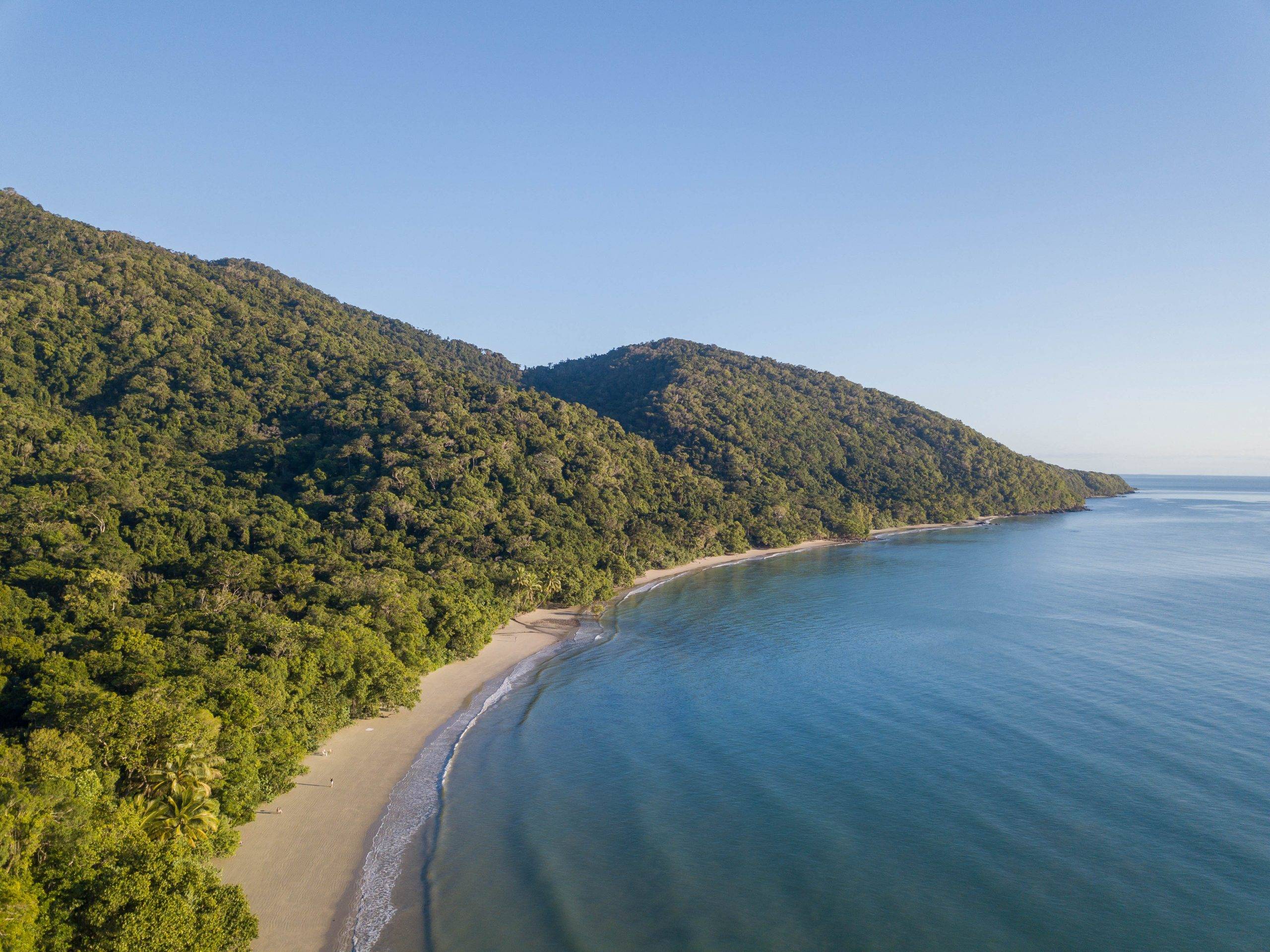 Cape Trib Beach House en Cape Tribulation
