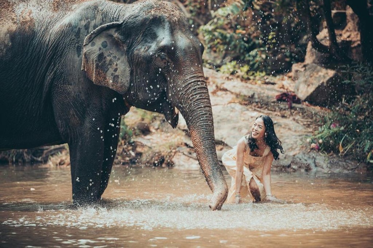 Chiang Mai