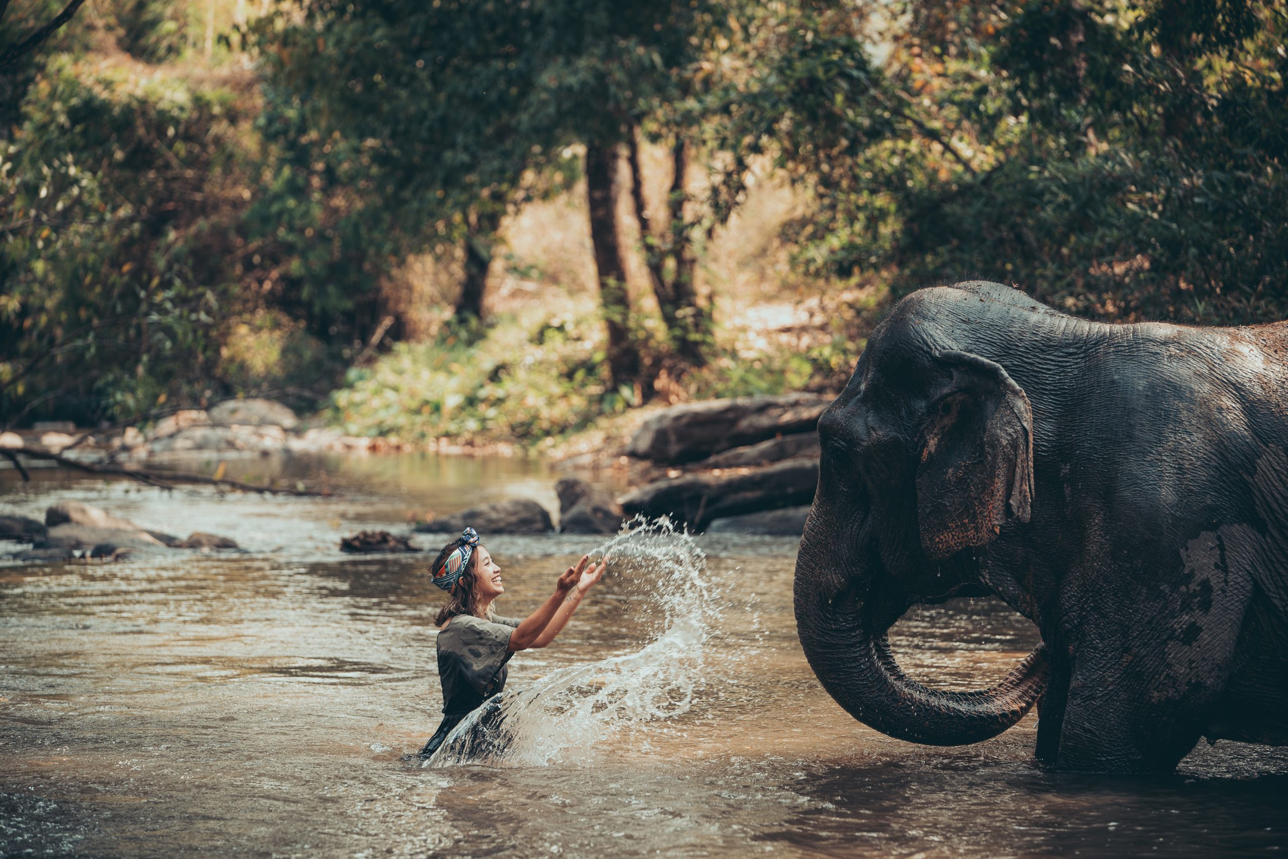 Chiang Mai