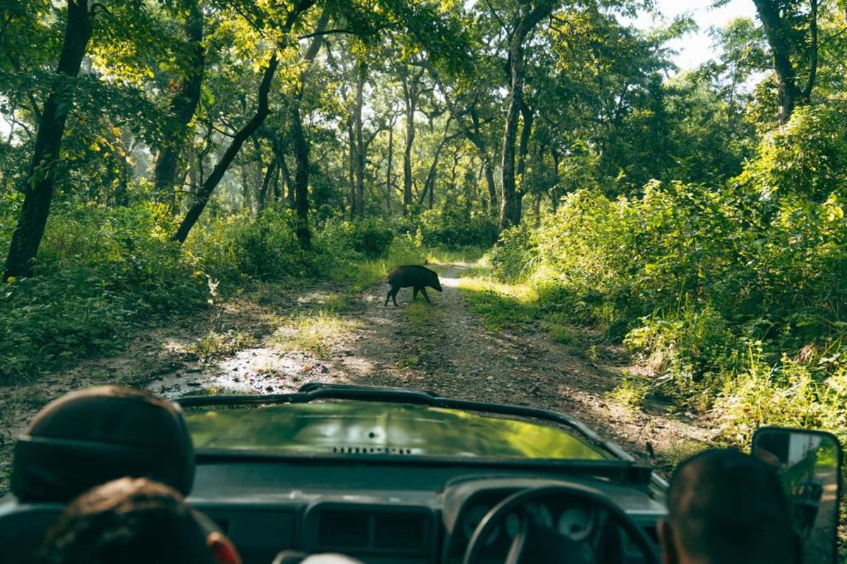Kasara Chitwan en Chitwan National Park
