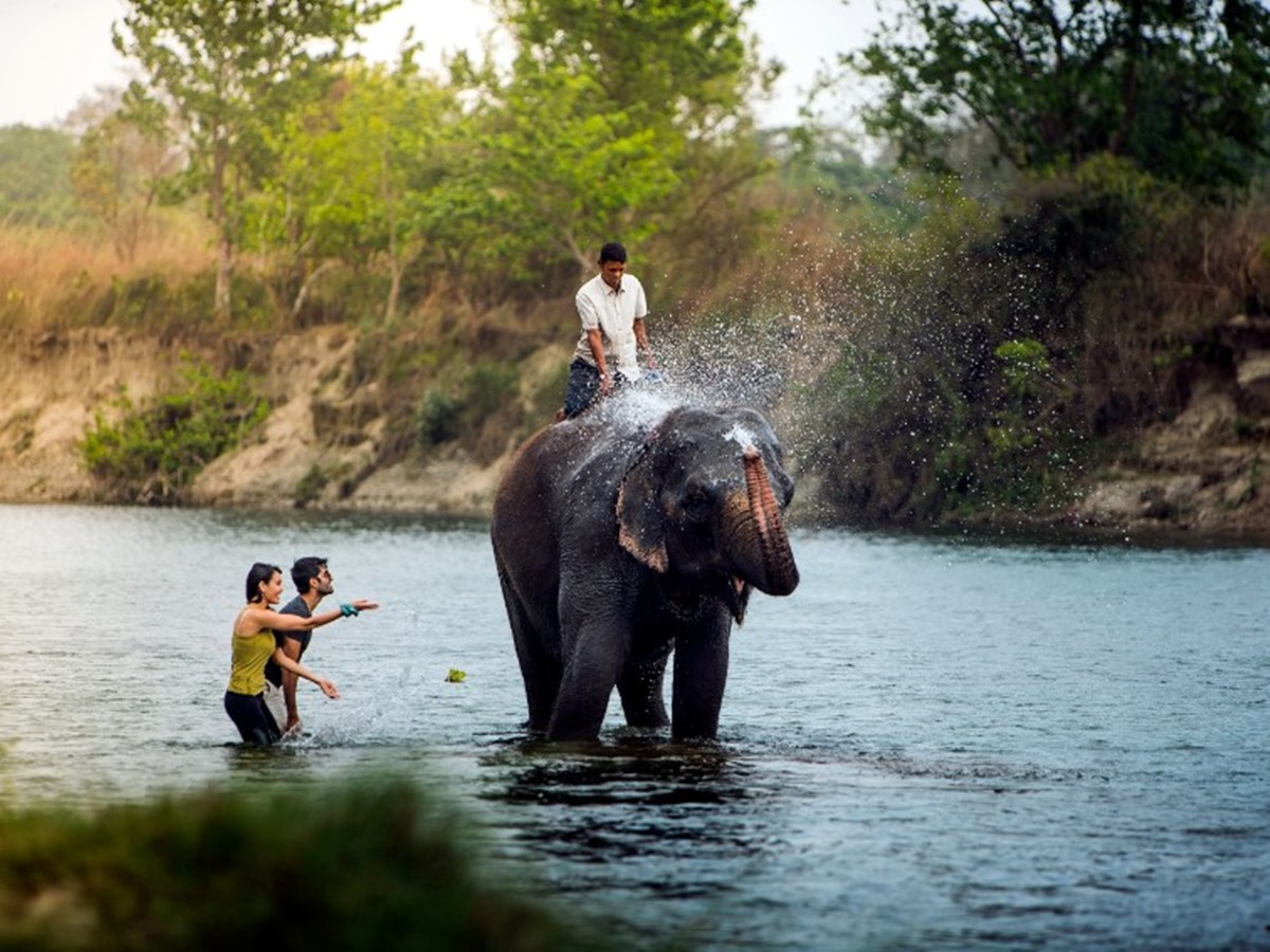 Meghauli Serai A Taj Safari  en Chitwan National Park