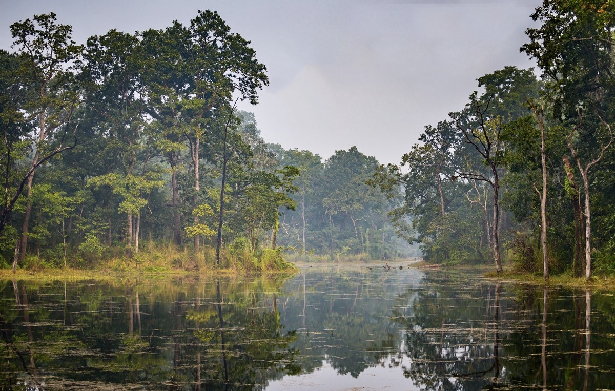 Chitwan National Park | LAT.40