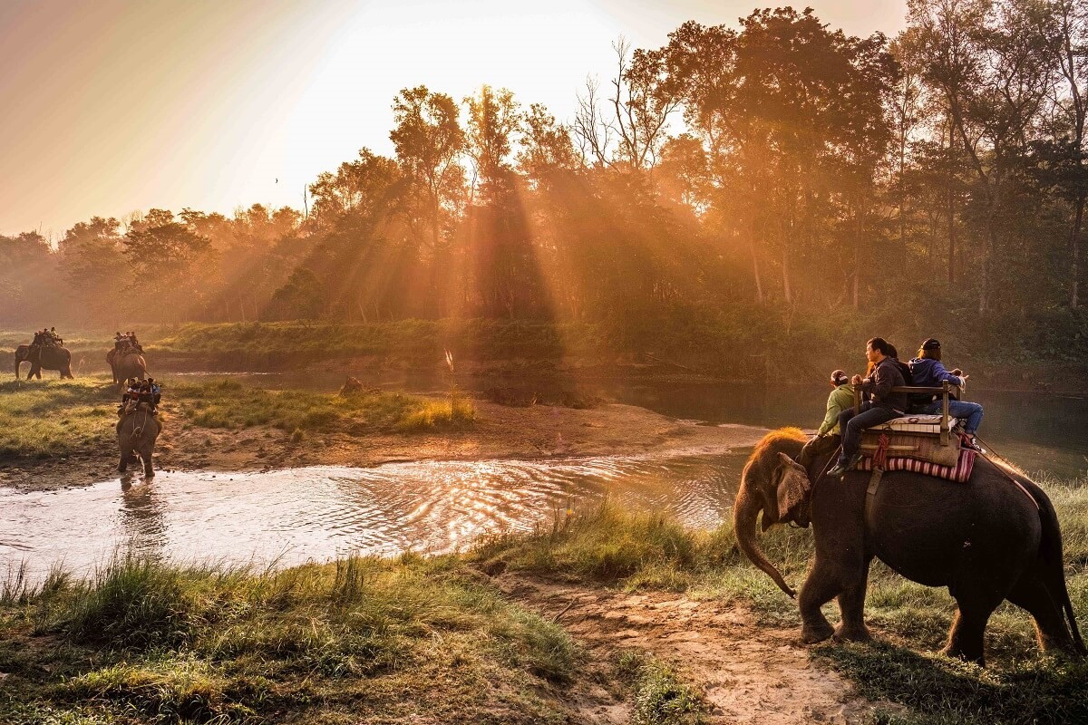 Chitwan National Park | LAT.40