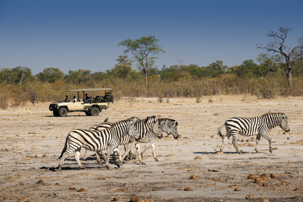 Linyanti Bush Camp & Ebony en Chobe