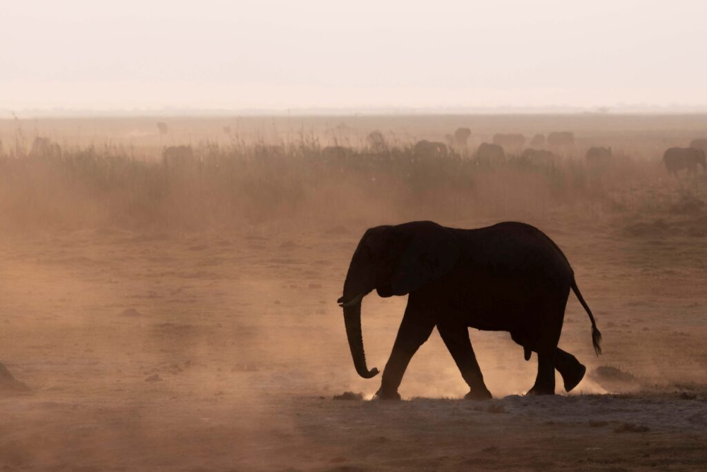 Linyanti Bush Camp & Ebony en Chobe