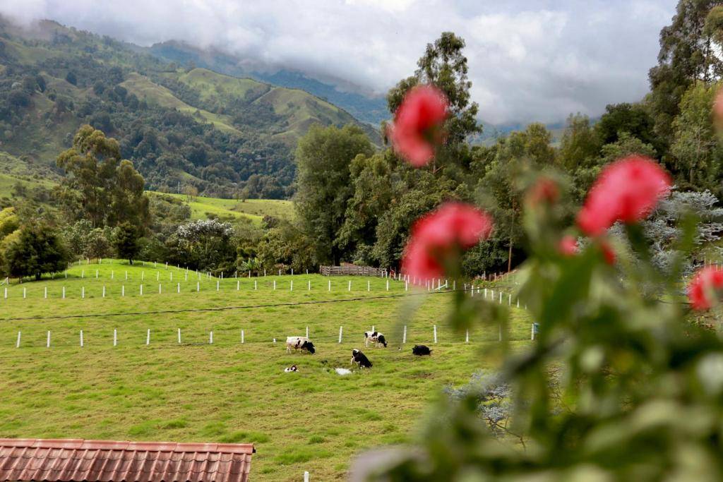 Imagen de viaje LAT.40