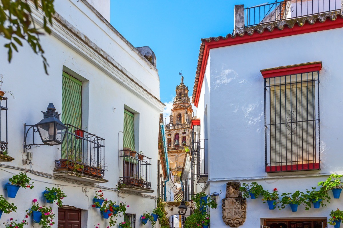 Córdoba | LAT.40