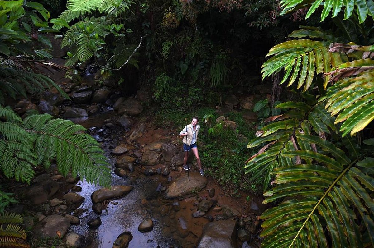 Hacienda AltaGracia, Auberge Resorts Collection en Costa Rica