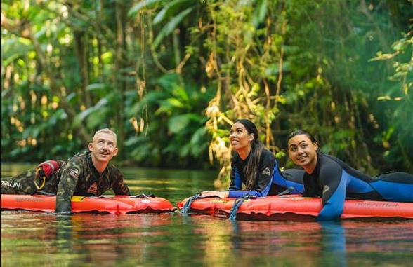 Daintree Forest