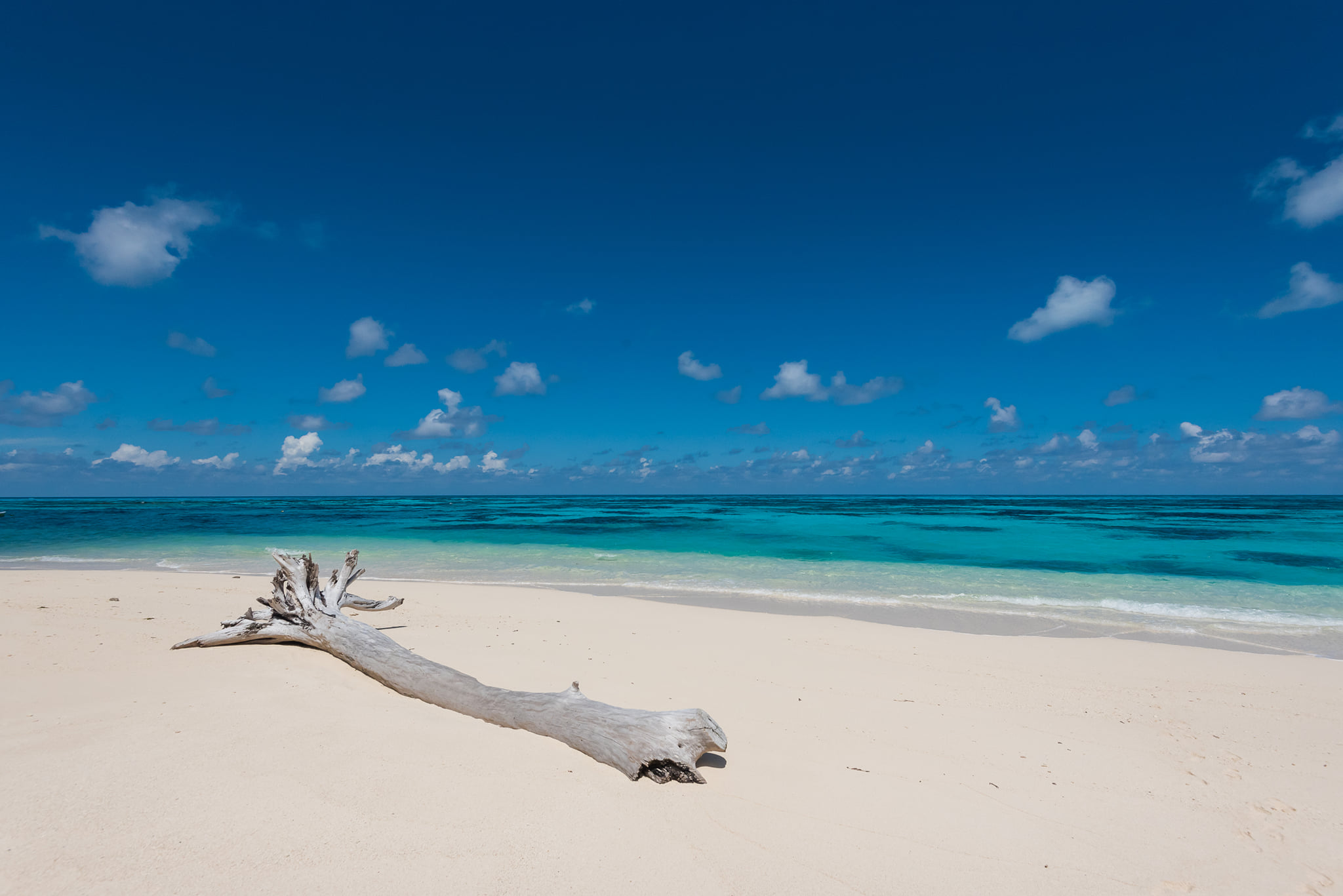 Denis Private Island en Denis Island