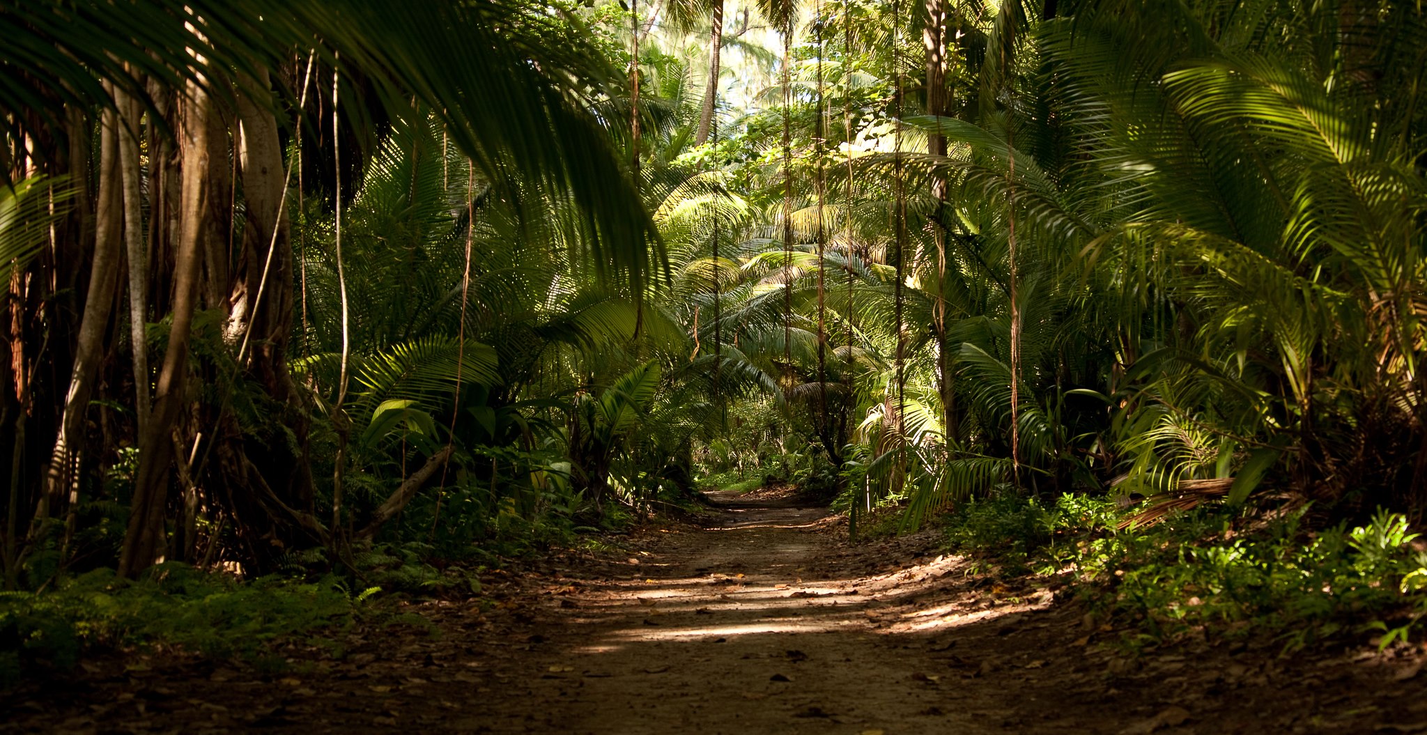 Denis Private Island en Denis Island