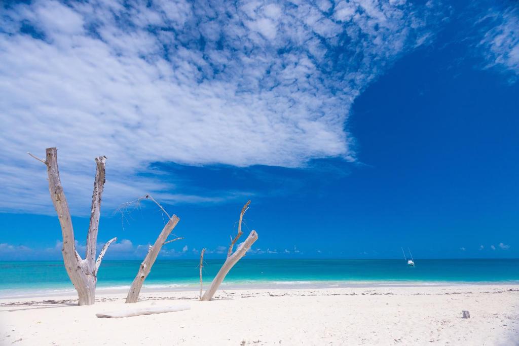 Denis Island