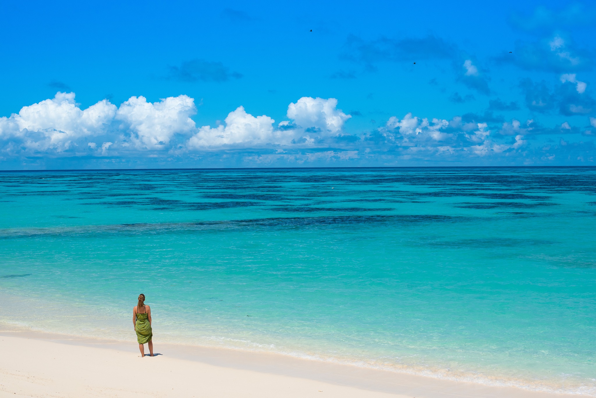 Denis Private Island en Denis Island
