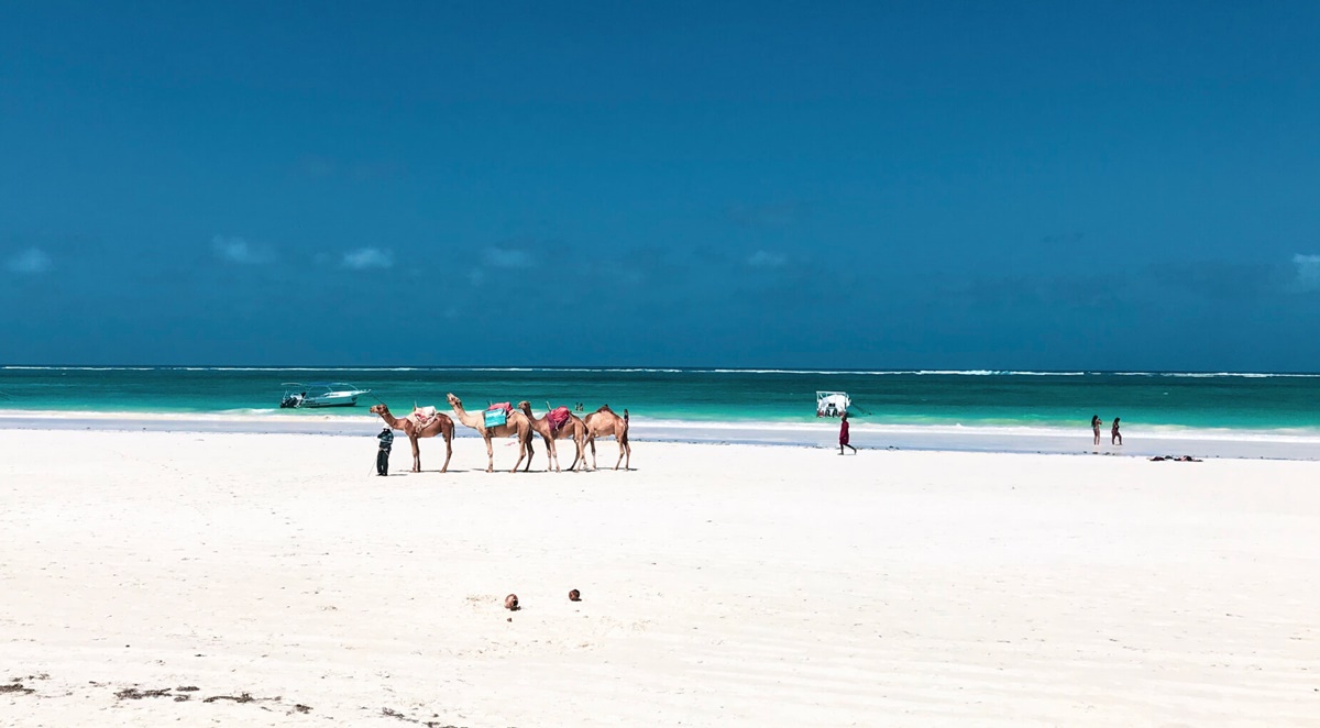 Alfajiri Villas en Diani Beach