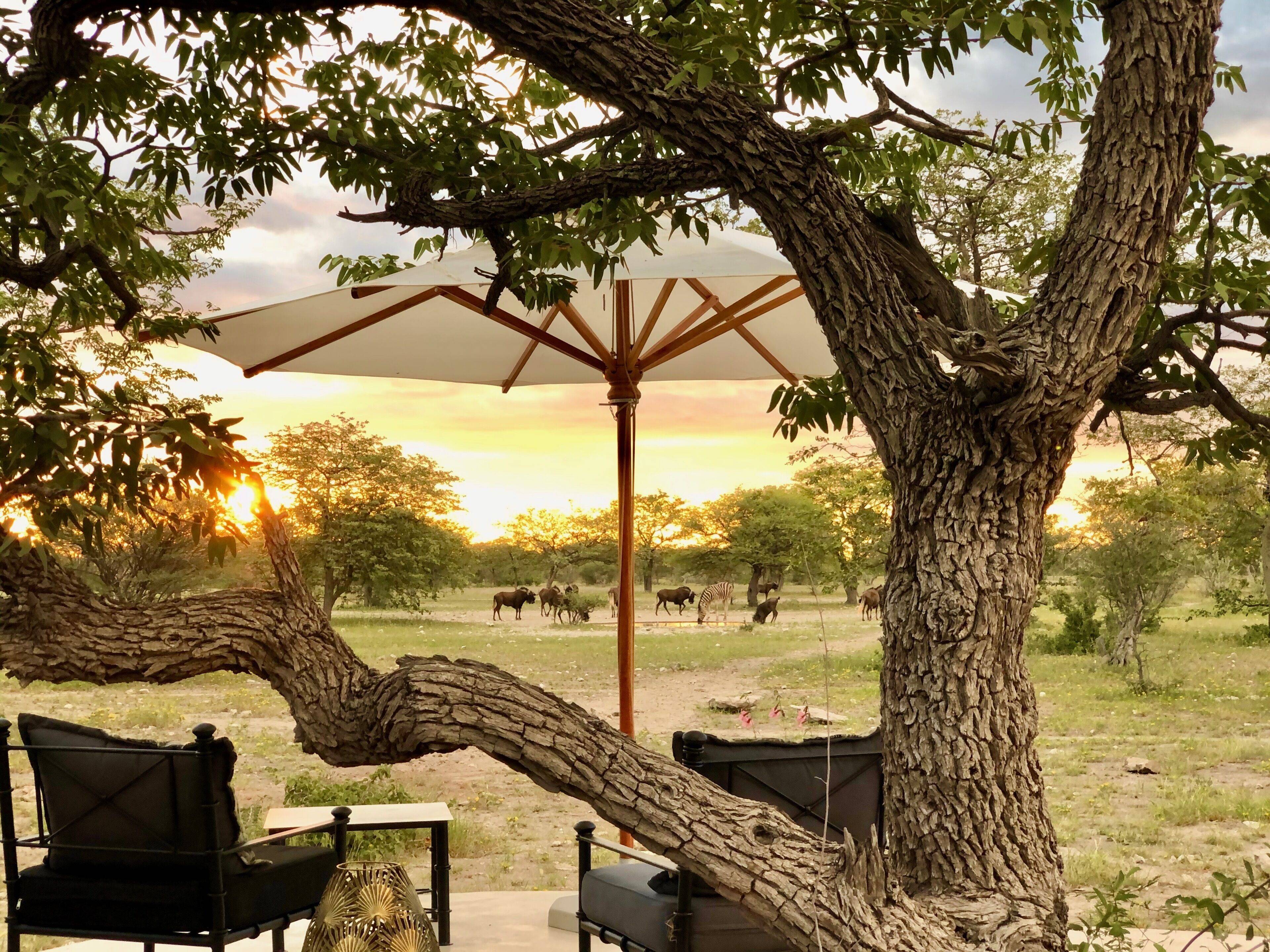 Etosha Oberland Lodge en Etosha Parque Nacional 