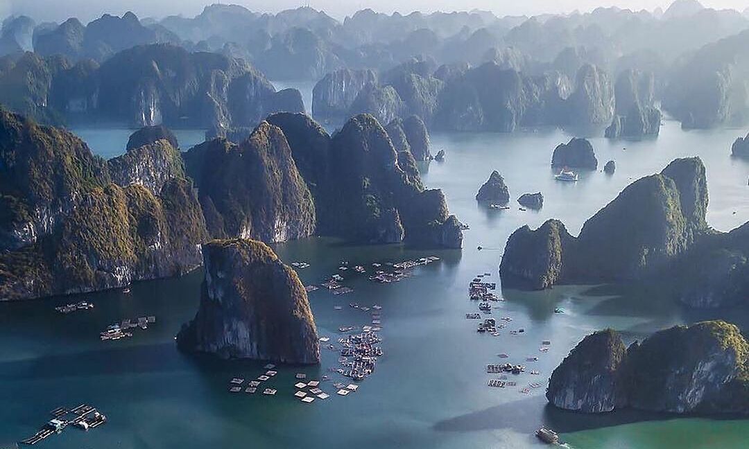 Halong | LAT.40