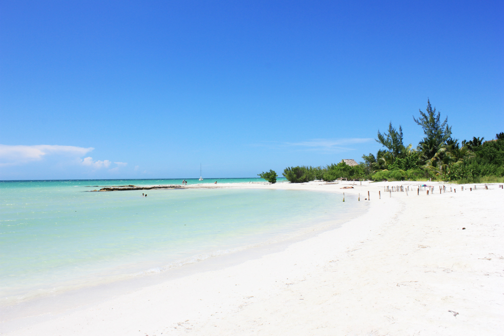 Holbox | LAT.40