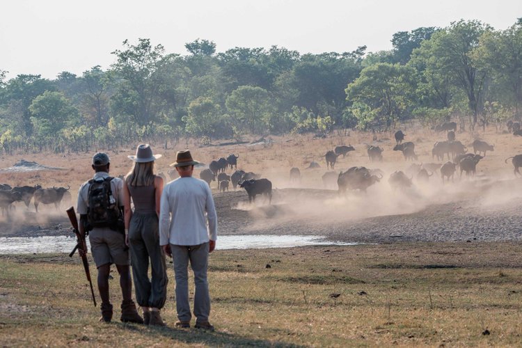 Hwange