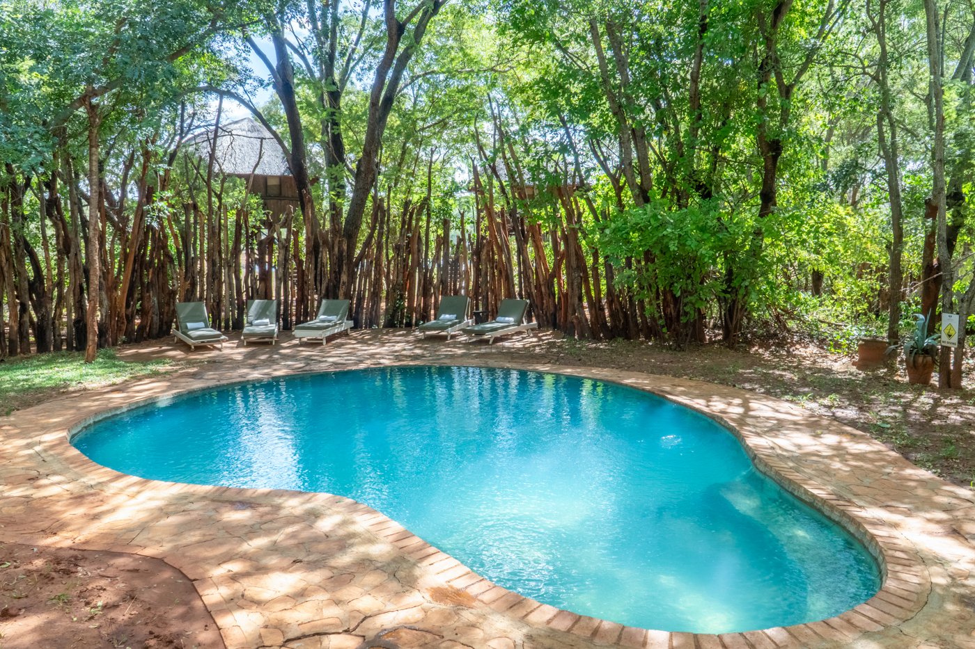 Ivory Safari Lodge en Hwange