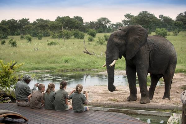 Somalisa Acacia Camp en Hwange