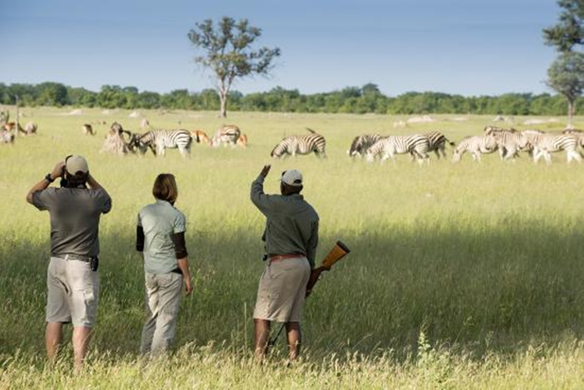 Somalisa Acacia Camp en Hwange