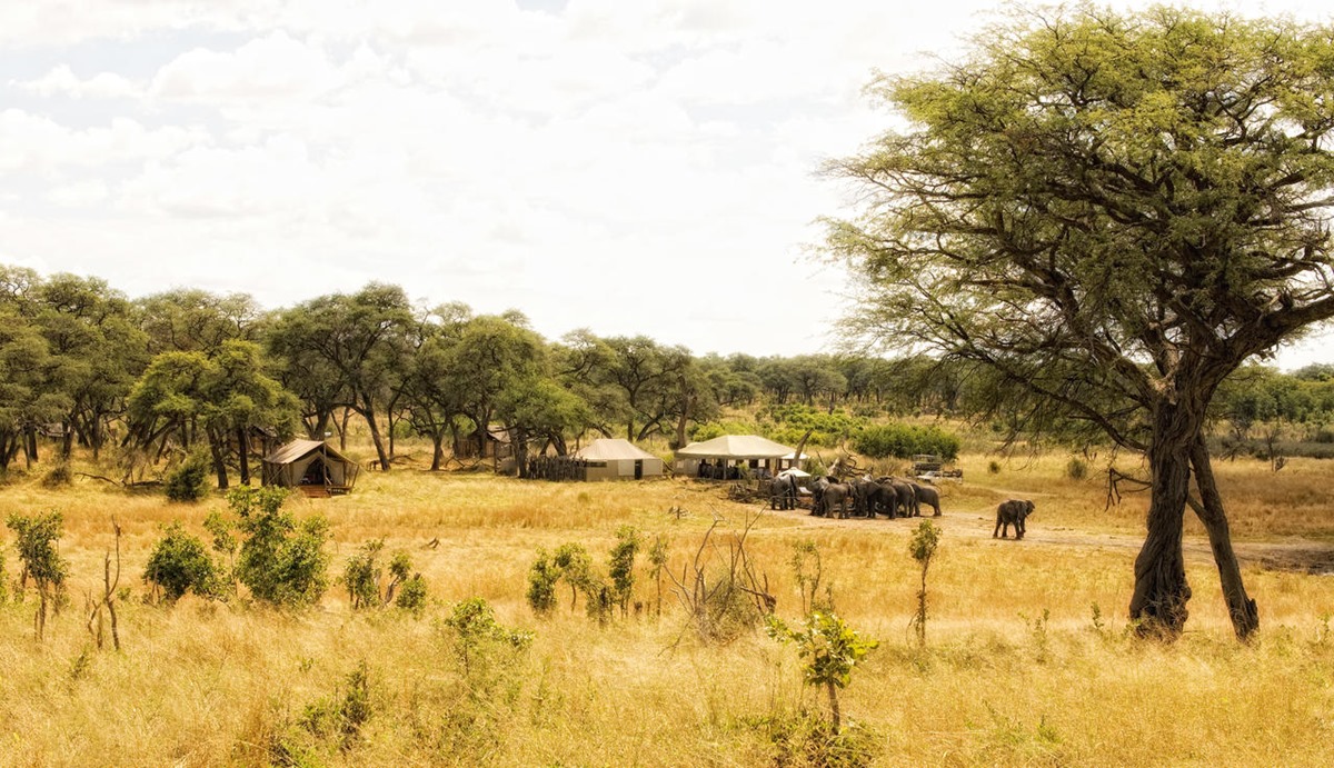 Somalisa Acacia Camp en Hwange