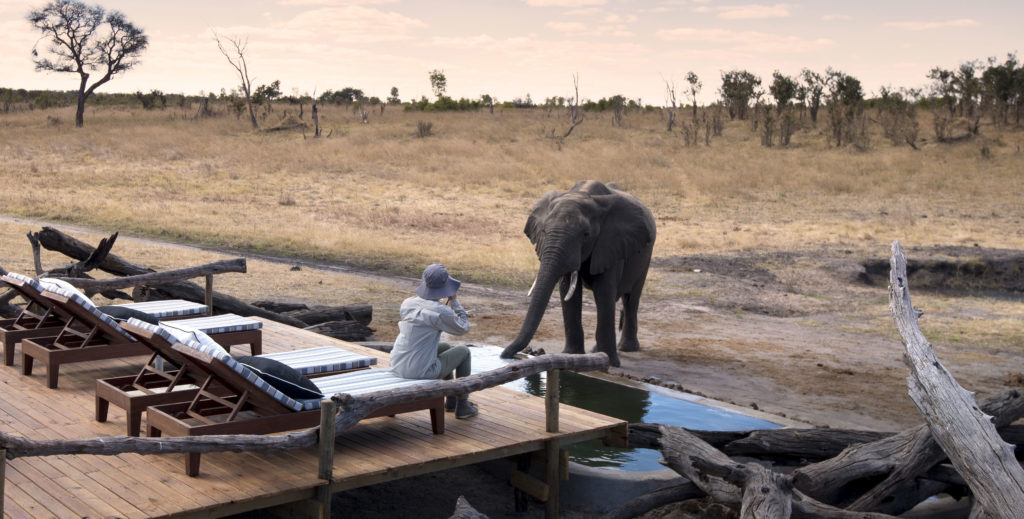 Somalisa Expeditions en Hwange