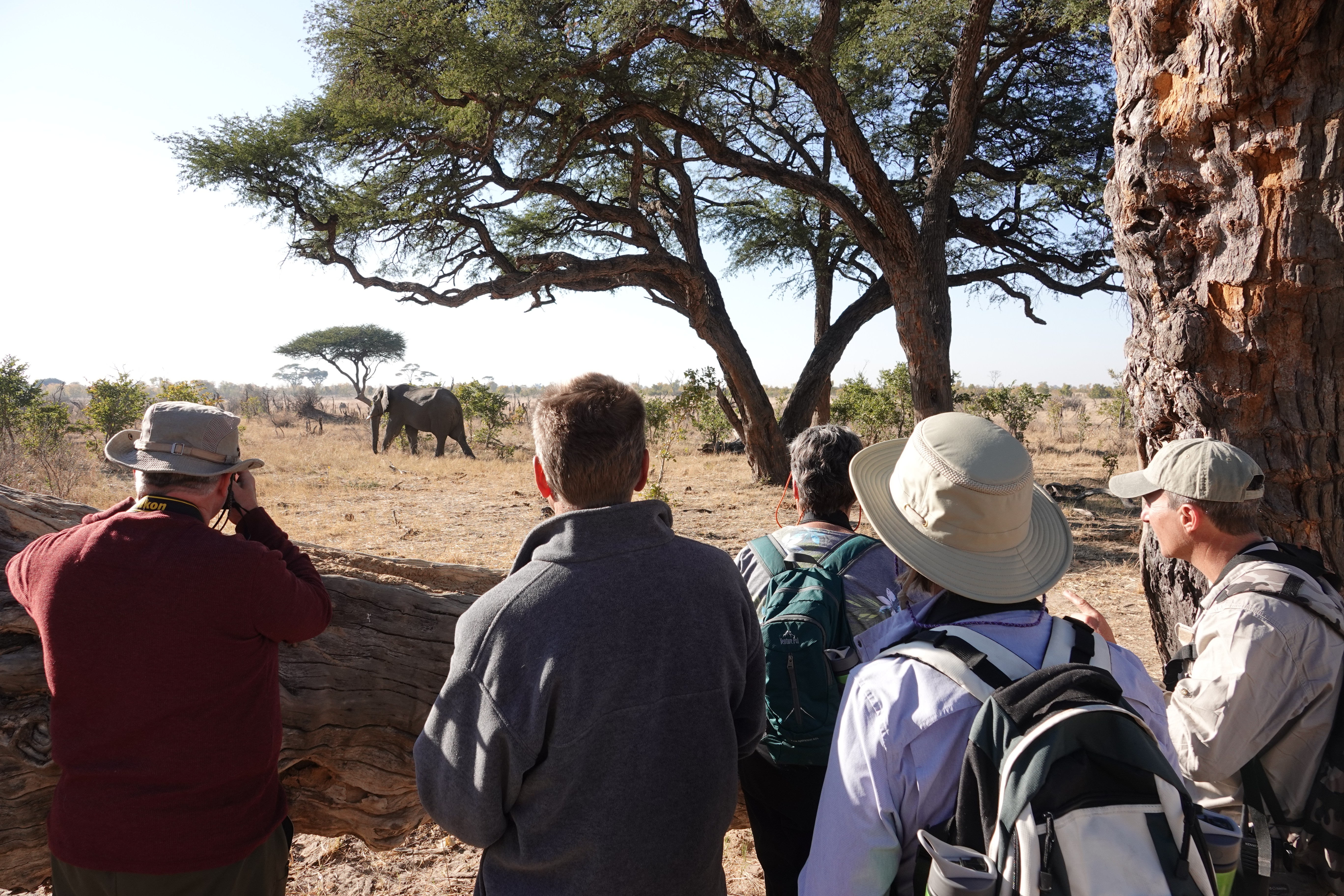 Somalisa Expeditions en Hwange