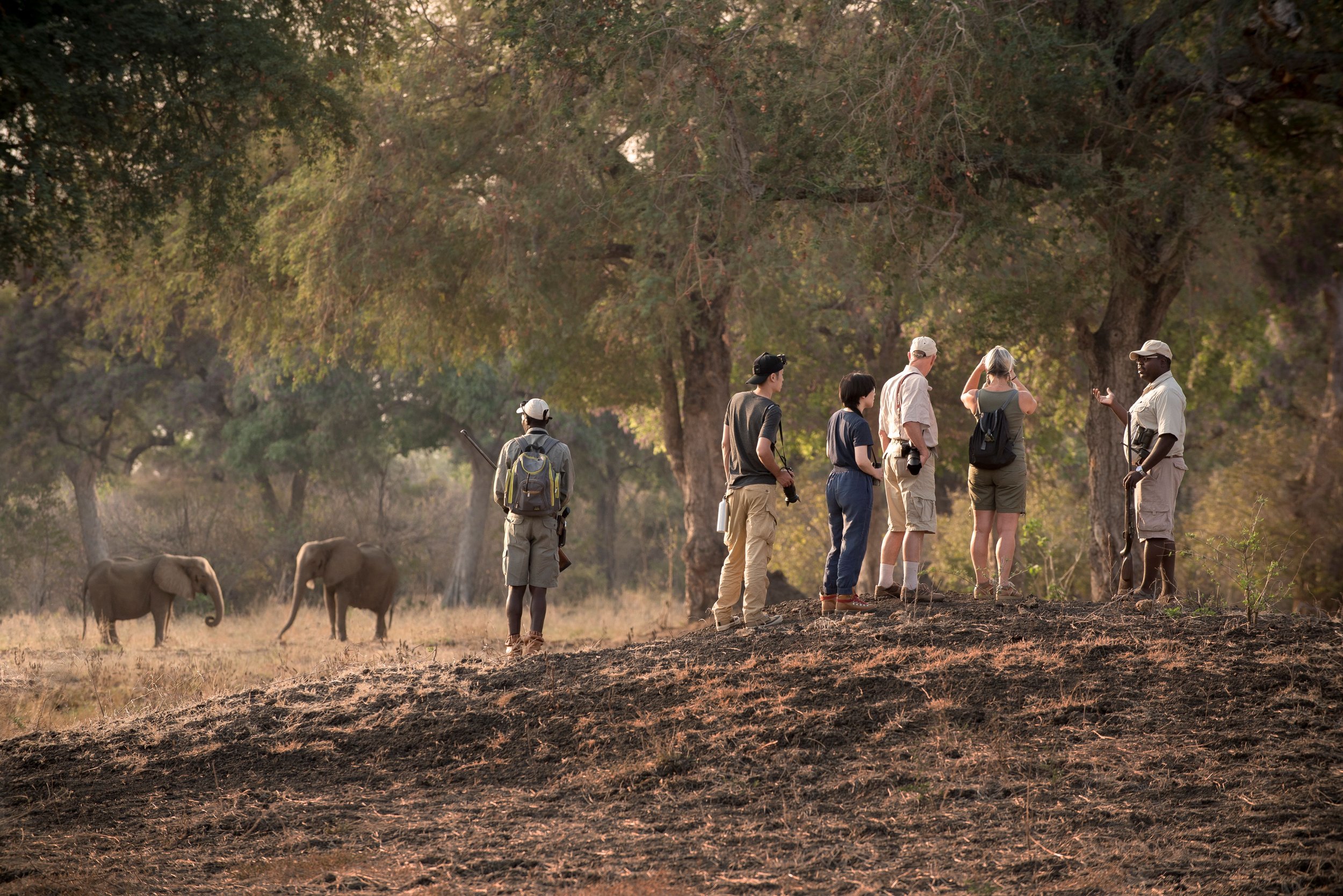 Somalisa Expeditions en Hwange