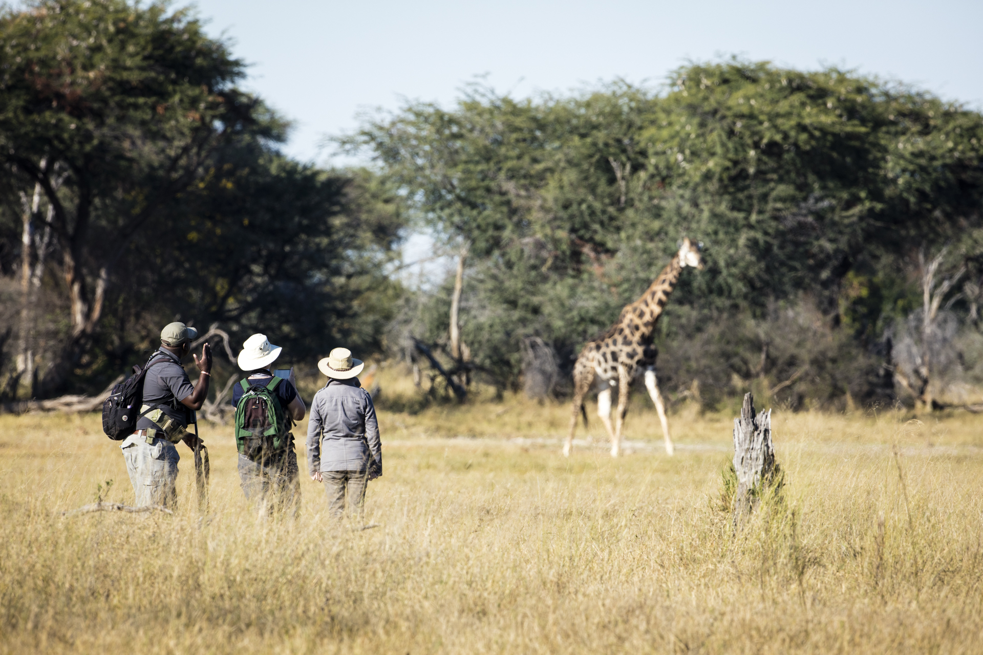 Somalisa Expeditions en Hwange