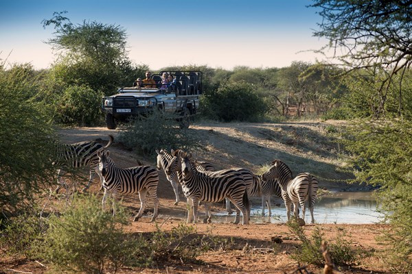 Somalisa Expeditions en Hwange