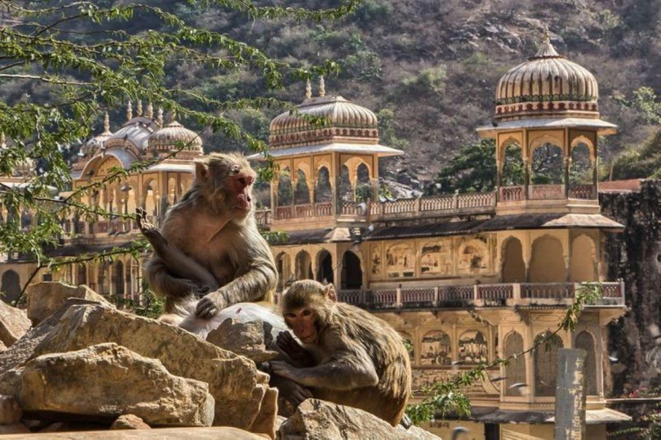Jaipur